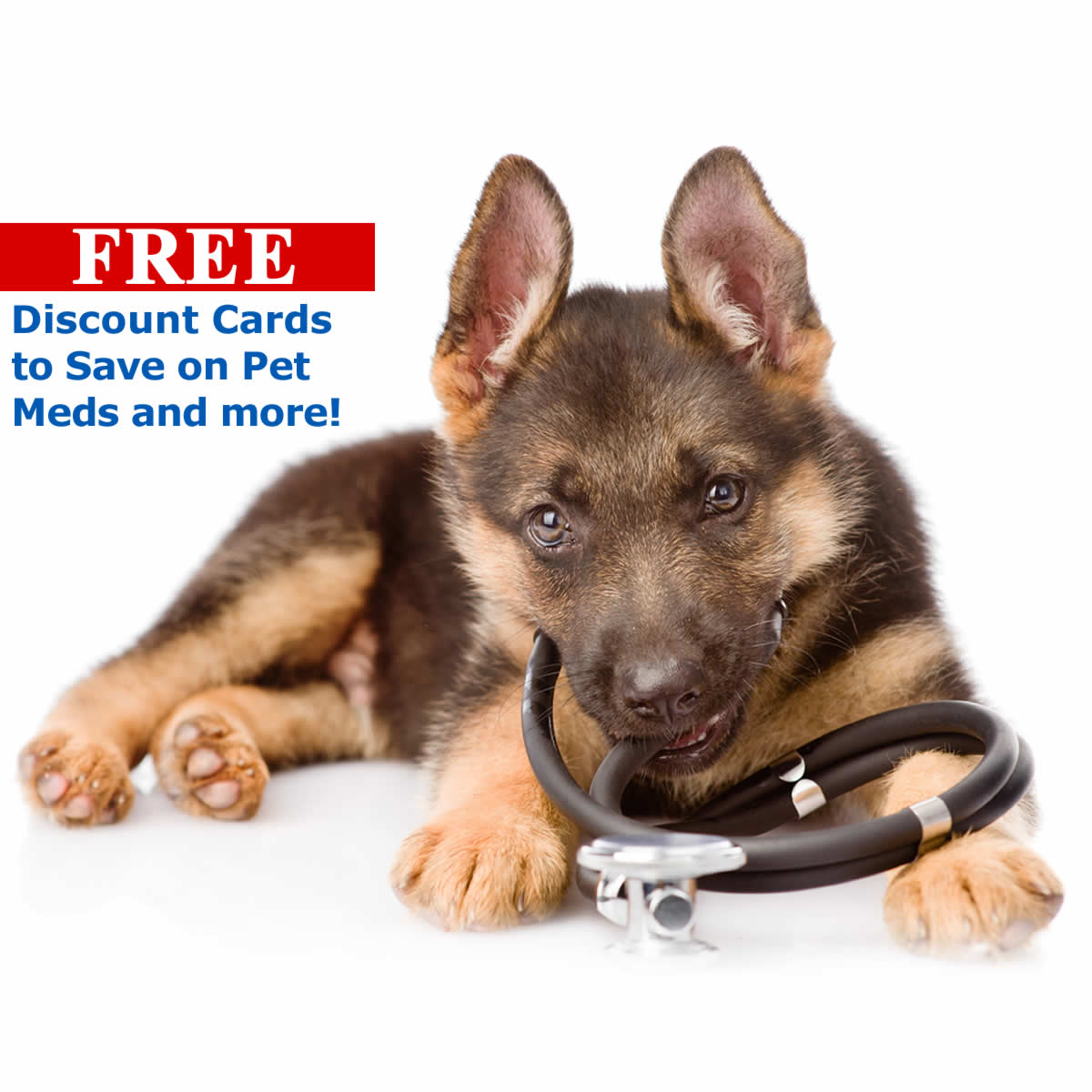 Pet Meds Prescription Discounts